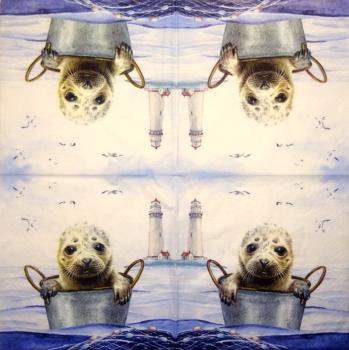 078 Seehund / Robbe - 3-lagig (